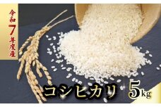令和7年度 コシヒカリ 5キロ 数量限定 米 コメ 減農薬栽培 お米 精米 早場米 新米 ご飯 おにぎり こめ 白米 低化学肥料 高知県 南国市