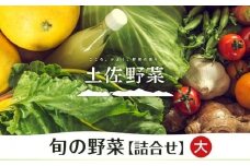 【土佐野菜】旬の野菜の詰め合わせ 大 | 野菜セット 新鮮 野菜 人気 季節の野菜 おすすめ 高知県 南国市
