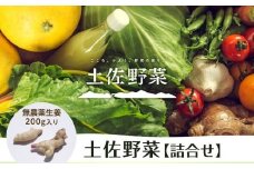 【土佐野菜】野菜の詰め合わせと無農薬生姜200g付き | 野菜セット セット しょうが 生姜 新鮮 野菜 人気 おすすめ 季節の野菜 高知県 南国市