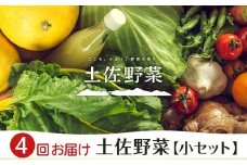 『定期便 全4回』【土佐野菜】旬の野菜の詰め合わせ 小セット | 野菜セット セット新鮮 野菜 毎月 人気 おすすめ 高知県 南国市