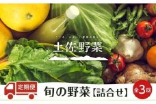 『定期便 全3回』【土佐野菜】旬の野菜の詰め合わせ | 野菜セット セット 野菜定期便 新鮮 野菜 毎月 人気 おすすめ 高知県 南国市