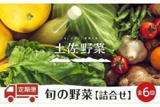 『定期便 全6回』【土佐野菜】旬の野菜の詰め合わせ | 野菜セット セット 野菜定期便 新鮮 野菜 毎月 人気 おすすめ 高知県 南国市