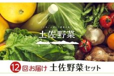 【全12回お届け】土佐野菜セット | 野菜セット セット 野菜定期便 新鮮 野菜 毎月 人気 おすすめ 高知県 南国市