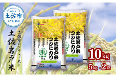 岩戸米 5kg×2袋　米 白米 精米 こしひかり コシヒカリ ブランド米 土佐岩戸米 おこめ こめ 飯 ごはん 5キロ 合計10kg