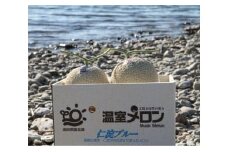 メロン 温室メロン 2玉   果物 くだもの めろん フルーツ デザート ギフト 贈答 プレゼント 仁淀ブルー 高知 土佐