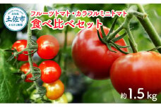 フルーツトマト食べくらべセット 1.5kg トマト フルーツトマト ミニトマト 詰め合わせ セット ふるーつとまと フルーツミニトマト カラフル トマト とまと 美味しい 高知県産