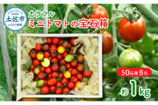 カラフルミニトマトの宝石箱（約1kg） トマト ミニトマト とまと カラフルミニトマト 詰め合わせ カラフル トマト とまと 美味しい 野菜 高知県産