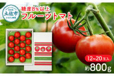 フルーツトマト（約800グラム） 12～20玉入り 糖度8度以上 フルーツトマト ふるーつとまと とまと トマト 甘い 濃厚 美味しい 箱入り 野菜 料理 サラダ お取り寄せグルメ 高知県産