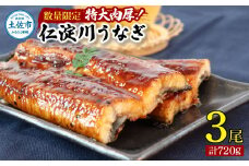 【数量限定】うなぎ うなぎ蒲焼き 国産 特大 3尾セット タレ付き 1尾200g超え 仁淀川 太化うなぎ おいしい 人気 冷凍 真空パック 夏