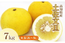 土佐文旦（ぶんたん）（大玉：２L～５L 混合）約7kg【株式会社とさもん（土佐市）】 家庭用 贈答用 大玉 特大  約10～15玉 文旦 ぶんたん ブンタン 柑橘 果物 フルーツ お取り寄せ おいしい 美味しい