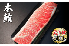 本マグロ 本鮪 大トロ500g トロ マグロ まぐろ 本まぐろ 刺身 刺し身 魚 天然 冷凍 美味しい おいしい 故郷納税 ふるさとのうぜい 返礼品 高知県 高知