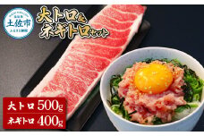 本マグロ 本鮪 大トロ500g ネギトロ400g(200g×2) ねぎとろ マグロ まぐろ 大とろ 本まぐろ 天然 刺身 刺し身 魚 海鮮 魚介 海鮮丼 ネギトロ丼 お寿司 おかず おつまみ 惣菜 簡単 時短