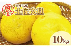 【訳あり】土佐文旦（ぶんたん）家庭用（M～５Ｌ）約10kg【株式会社とさもん（土佐市）厳選】 文旦 10キロ 約10～30玉 大玉 特大 ぶんたん 柑橘 果物 フルーツ 訳あり お取り寄せ おいしい 美味しい 名産 人気