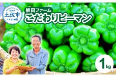 高知県産 植田ファームのこだわりピーマン 1kg ピーマン 新鮮野菜 サラダ 野菜 おかず 詰め合わせ 絶品 お取り寄せ 美味しい 料理 おうちごはん 新鮮 大容量 消費 国産 日本産