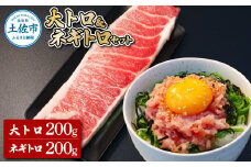 本鮪 大トロ・ネギトロ各200g ねぎとろ マグロ まぐろ 大とろ 本まぐろ 天然 刺身 刺し身 魚 海鮮 魚介 海鮮丼 ネギトロ丼 お寿司 おかず おつまみ 惣菜 簡単 時短 おいしい