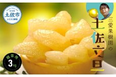 三愛果樹園の土佐文旦　贈答用　約3kg