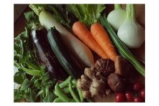 【土佐野菜】旬の野菜の詰め合わせと栽培期間中に農薬不使用の生姜200g付き【土佐市】