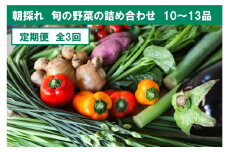 『定期便』全3回【土佐野菜】旬の野菜詰め合わせ10～13品目