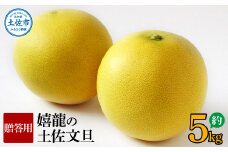 ＜2026年1月下旬より順次発送＞嬉龍の土佐文旦　贈答用　2～3Ｌサイズ　約5kg　減農薬