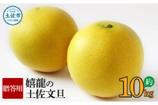 ＜2026年1月下旬より順次発送＞嬉龍の土佐文旦　贈答用　2～3Ｌサイズ　約10kg　減農薬
