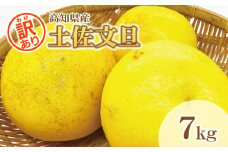 【訳あり】土佐文旦（ぶんたん）家庭用（M～５Ｌ混合）約7kg【株式会社とさもん（土佐市）厳選】 文旦 7キロ 約10~22玉 大玉 特大 ぶんたん ブンタン 柑橘 果物 フルーツ お取り寄せ おいしい 訳あり 傷