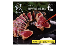 かつおのたたき 土佐厳選１本釣りわら焼き「田野屋銀象シリーズ　極カツオのタタキ（3人～4人前）完全天日塩付（田野屋銀象ソルト）数量限定 鰹のたたき 魚 魚介 海鮮 刺身 冷凍 配送