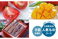 【3月/5月/7月】土佐市・いの町・日高村 人気もの定期便コース