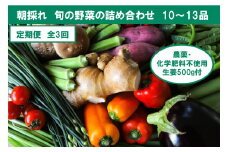 『定期便全3回』栽培期間中に農薬不使用の生姜200gと旬の野菜詰め合わせ10～13品目 野菜 野菜セット 詰め合わせ しょうが ショウガ 旬 新鮮 朝どれ 取り寄せ 定期コース 3ヶ月 高知県産