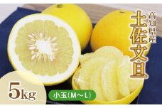 土佐文旦(ぶんたん) (小玉サイズ:M～L混合) 約5kg【株式会社とさもん（土佐市）厳選】家庭用 文旦 約5キロ 約12～16玉 ぶんたん ブンタン 柑橘 果物 フルーツ お取り寄せ おいしい