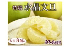 高知県産水晶文旦 特選ご贈答用 特大7個もしくは大玉8個