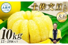 ＼果樹園直送／＜白木果樹園産＞ 贈答品 土佐文旦 約10kg  大玉 4L～3Lサイズ (13～18個入り)