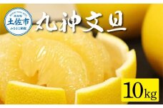森田さん家の丸神（神谷）文旦（約10kg入り・2L～4Lサイズ）
