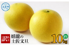 ＜2026年1月下旬より順次発送＞ 訳あり 嬉龍の土佐文旦 約10キロ L～４Lサイズ 文旦 ぶんたん ブンタン 柑橘 フルーツ 果物 わけあり わけアリ 傷 シミ 美味しい 高知県産