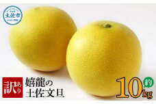 ＜2026年1月下旬より順次発送＞ 訳あり 嬉龍の土佐文旦 約10キロ L～４Lサイズ 文旦 ぶんたん ブンタン 柑橘 フルーツ 果物 わけあり わけアリ 傷 シミ 美味しい 高知県産
