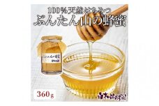 爽やかな香り広がる100%天然蜂蜜 ぶんたん山の蜂蜜　360g　はちみつ ハチミツ 高知県産 国産 天然はちみつ 土佐 高知 【白木果樹園】