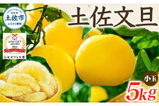 【日本ギフト大賞2024受賞】【先行予約】 園主こだわりの土佐文旦 5kg 小玉（L～Mサイズ） 2026年1月下旬より順次発送 家庭用 贈答用 ぶんたん ブンタン 柑橘 みかん フルーツ 果物 お取り寄せ 土佐 高知 やの一果彩 5キロ 5kg