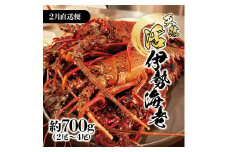 2月直送便 土佐獲れ 活伊勢海老 約700g（２尾～４尾） 天然 エビ　えび 伊勢エビ 海鮮 お刺身 刺し身 丸焼き しゃぶしゃぶ 故郷納税 ふるさとのうぜい 返礼品 高知県 高知 36000円