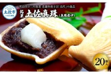 銘菓 土佐真珠(真珠最中) 20個入り もなか モナカ 最中 和菓子 菓子 おかし あんこ 餡 餅入り 高知県産 お取り寄せ おやつ お土産 手土産 贈答 ギフト 箱入り 個包装