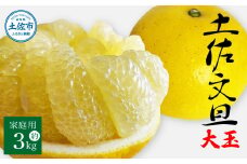 土佐文旦 家庭用 約3キロ(2L～4Lサイズ混合：5玉～9玉) 大玉 先行予約 数量限定 文旦 ぶんたん ブンタン 土佐文旦 柑橘 フルーツ 果物 ご当地 お取り寄せ 土佐 高知