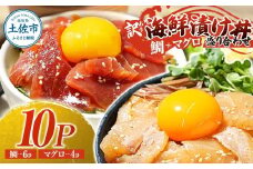訳あり海鮮漬け丼（タイ6P・マグロ4P）セット 漬け丼 漬け 鯛 鮪 マグロ 赤身 食べ比べ 海鮮 魚 冷凍 食品 保存食 小分け 高知 土佐 海鮮丼 漬け丼 ぶっかけ お茶漬け 鯛めし 惣菜 そうざい 訳アリ わけあり 不揃い 規格外 故郷納税 返礼品