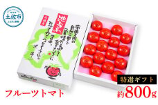 ＜2026年1月下旬より発送＞フルーツトマト特選ギフト約800g トマト フルーツトマト 池トマト 糖度10度以上 高糖度 高知県産 ギフト 箱入り 贈答用 贈り物 健康 美味しい ふるーつとまと お取り寄せグルメ