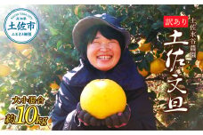 本場、高知県土佐市産！土佐水谷農園の露地土佐文旦 家庭用10キロ 10kg 大小混合（L～上限なし：16玉前後） 訳あり 文旦 ぶんたん ブンタン 土佐文旦 ご自宅用 柑橘 フルーツ 果物 土佐 高知