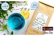 ＜6回定期便＞ ハーブ仁淀川産 自然栽培ハーブ 高知ブルース ハーブティー ティーバッグタイプ 7袋入り×2個セット ティーバッグ 定期便 期コース 6ヶ月 全6回 毎月 無農薬 高知