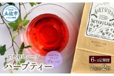 ＜6回定期便＞ ハーブ仁淀川産 自然栽培ハーブ トロピカルブレンド プレーン ハーブティー ティーバッグタイプ 7袋入り×2個セット 定期便 定期コース 6ヶ月 全6回 毎月 無農薬 高知