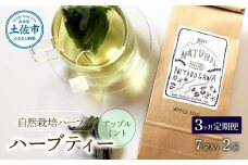 《3ヵ月定期便》ハーブ仁淀川産 自然栽培ハーブ アップルミント ハーブティー ティーバッグタイプ 7袋入り×2個セット ティーバッグ 定期便 3回 お茶 ブレイクタイム プレゼント 国産 高知県産