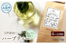 《6ヵ月定期便》ハーブ仁淀川産 自然栽培ハーブ アップルミント ハーブティー ティーバッグタイプ ７袋入り×2個セット 定期便 6回 ティーバッグ お茶 ブレイクタイム プレゼント 国産 高知県産