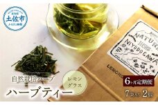 《6ヵ月定期便》ハーブ仁淀川産 自然栽培ハーブ レモングラス ハーブティー ティーバッグタイプ 2個セット 7袋入り×2個 定期便 定期コース 全6回 ティーバッグ 無農薬 高知