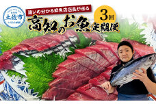 ＜3回定期便＞違いの分かる鮮魚店店長が送る 高知のお魚定期便！！ 海鮮 魚 さかな 新鮮 カツオのタタキ 金目鯛 真鯛 ネギトロ 天然アユ など 旬 季節 定期便 お楽しみ 定期コース 3ヶ月 年3回 冷蔵 高知県 高知 故郷納税 ふるさとのうぜい 土佐市