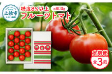 【定期便・全3回】 フルーツトマト （約800g）一箱12～20玉 先行予約 トマト 定期便 3ヶ月 とまと ふるーつとまと トマト とまと tomato 糖度8度以上 美味しい 甘い 野菜 サラダ