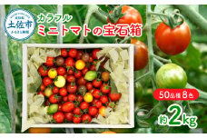 カラフルミニトマトの宝石箱 （約2kg） トマト ミニトマト とまと カラフルミニトマト 詰め合わせ 15品種以上 新鮮野菜 カラフル トマト とまと 美味しい サラダ 野菜 高知県産